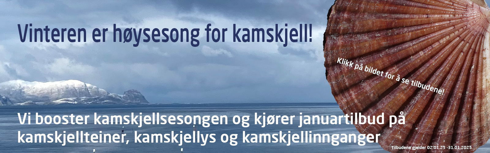 kamskjellteine kamskjellys kamskjellinngang kamskjell